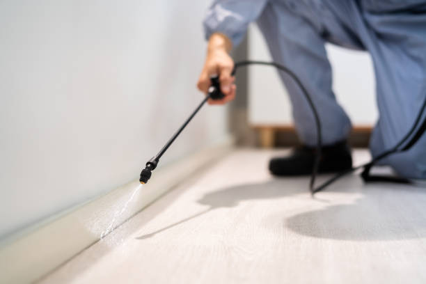 Licensed Mosquito Control service in Port Royal, SC - Show Me Pest Control