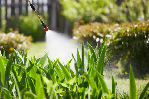24/7 Emergency Mosquito Control experts in Port Royal, SC