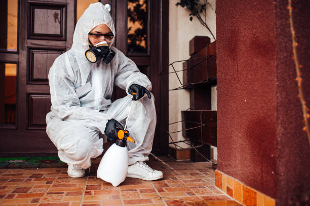 Reliable Mosquito Control contractor in Port Royal, SC by Show Me Pest Control